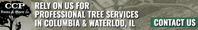 Advertisement image for CCP Trees & More LLC