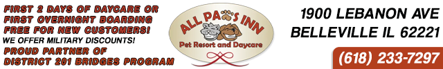 Advertisement image for All Paws Inn Pet Resort and Day Care