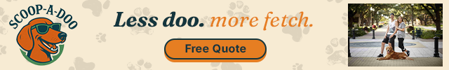 Advertisement image for Scoop-A-Doo