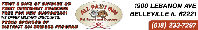 Advertisement image for All Paws Inn Pet Resort and Day Care