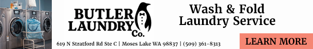 Advertisement image for Butler Laundry Co.