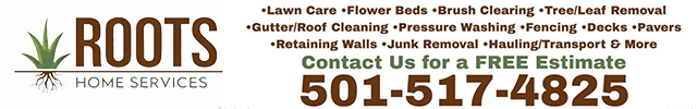 Advertisement image for Roots Home Services
