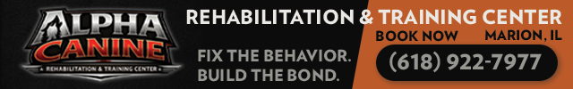Advertisement image for Alpha Canine Rehabilitation and Training Center