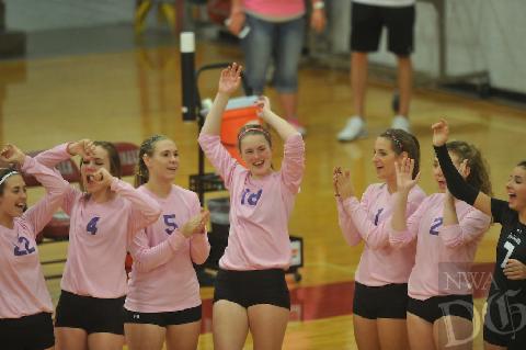 Volleyball routs Springdale