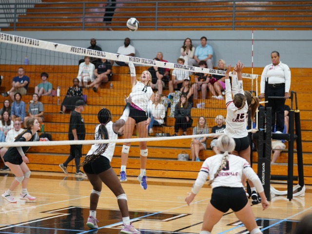 Here are the top Memphis area volleyball players, entering region tournaments