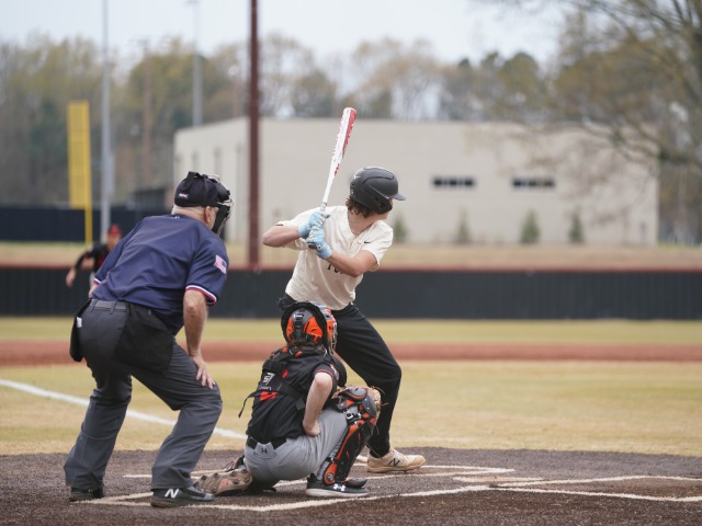 Memphis area high school spring sports top performers for Week 6 of the 2024 season