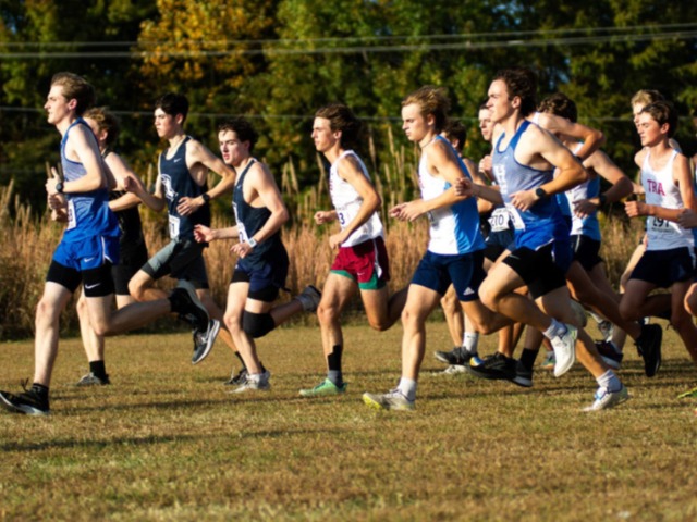 Memphis-area top cross country times