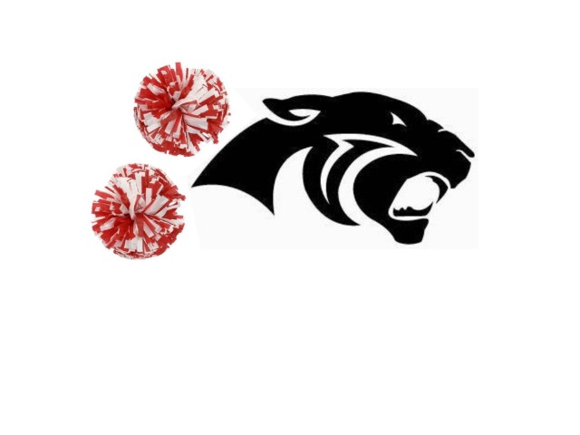 Spirit Squad 2020 Tryout Information