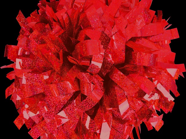 CHS 2025 Homecoming Royalty & Ambassadors