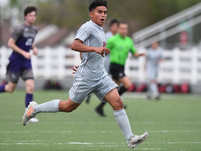 Vega feels at home for Red'Dogs