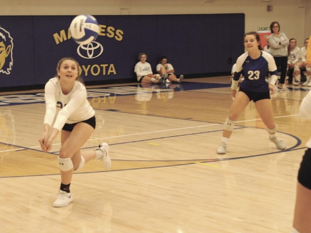 Harrison clawed by Wildcats