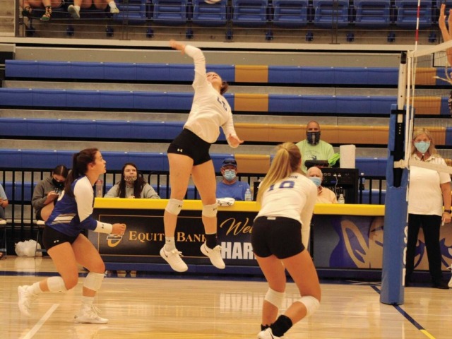 Harrison roars back for win over PR