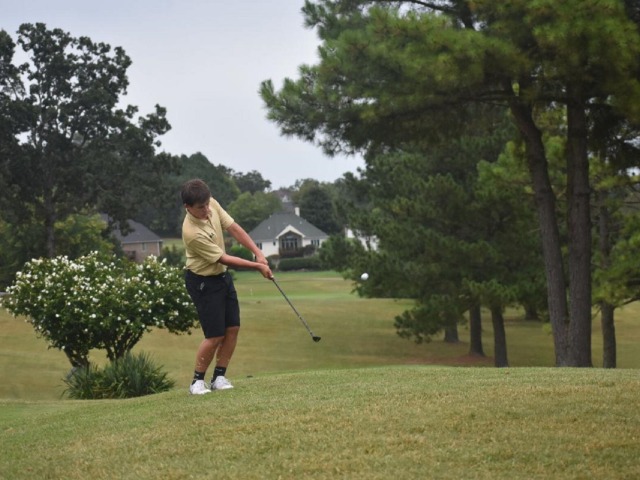 Harrison golf earns a second place finish at district playoffs