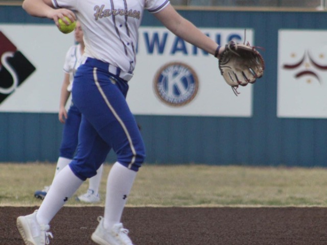Harrison girls send Berryville home with loss
