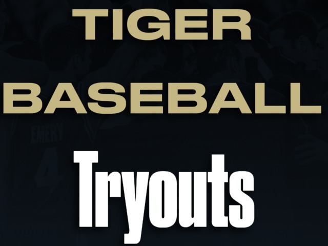 Tiger Baseball Tryouts