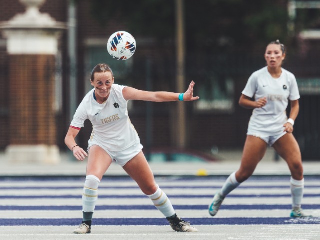 Image for All-NWA Democrat-Gazette Girls Soccer Team