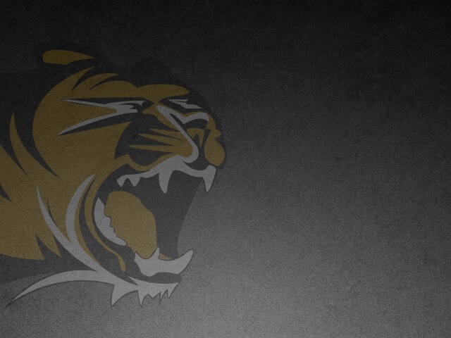 Updates:  Tiger Athletics (3/20/2020)