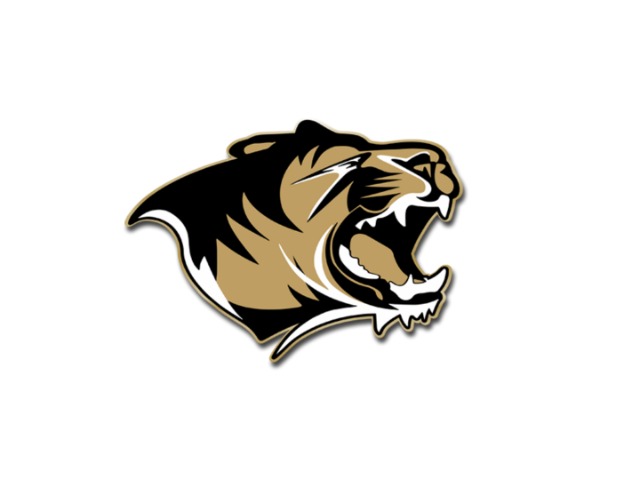 6A STATE BASEBALL: Bentonville, Conway advance to championship