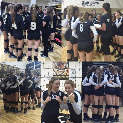 Lady Tiger Volleyball