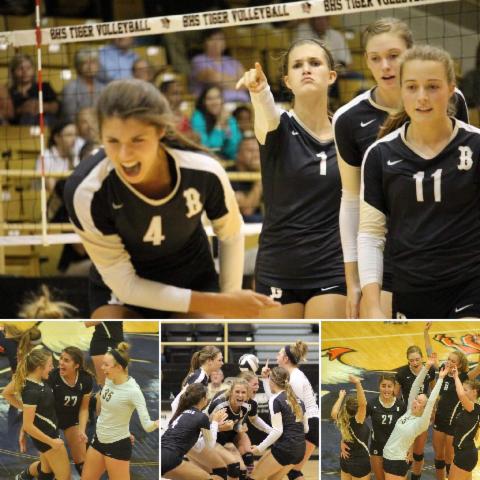 Lady Tiger Volleyball