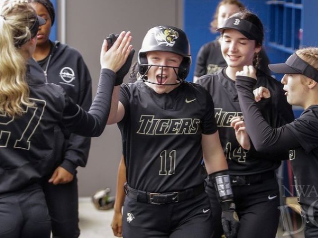 SOFTBALL: Turner has three hits for Bentonville in 6A-West road win at Northside