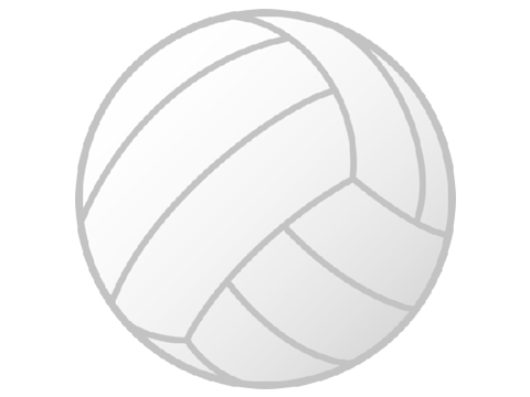 VBall Roundup: NHS wins 7A-Central Opener