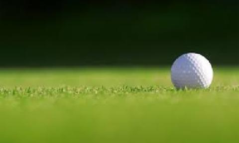 Mullins and Werth qualify for state