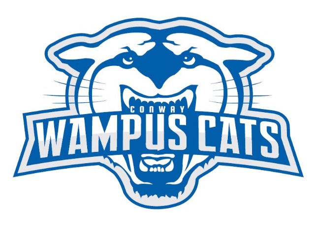 Wampus Cat Track Teams place Fourth in State