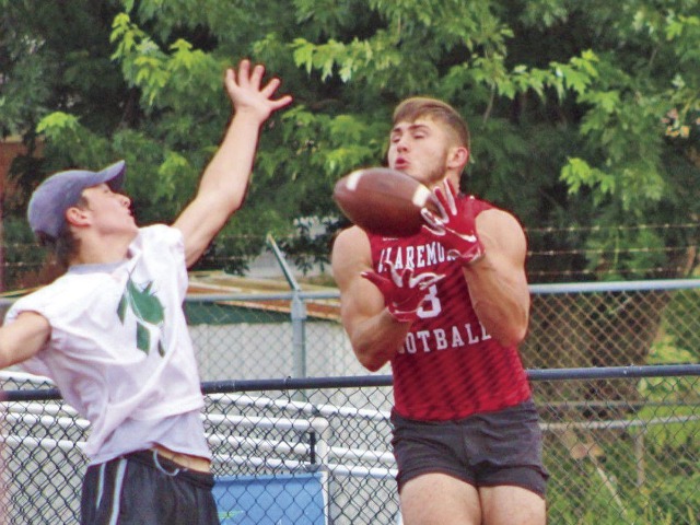 Zebras using 7v7 to improve chemistry