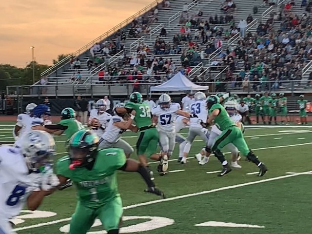 Vikings Come Up Short Against Dublin Coffman