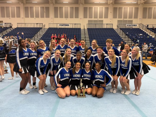 Lady Vikings fall to Wayne Wednesday night