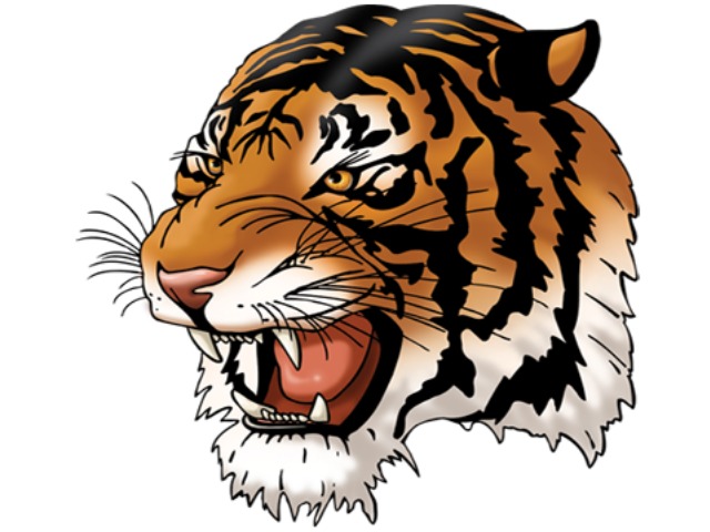 Tahlequah pushes aside Collinsville