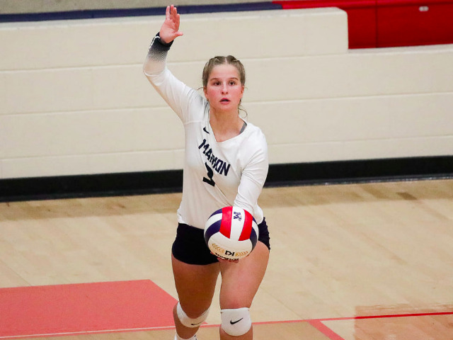 Patriots tame Lions