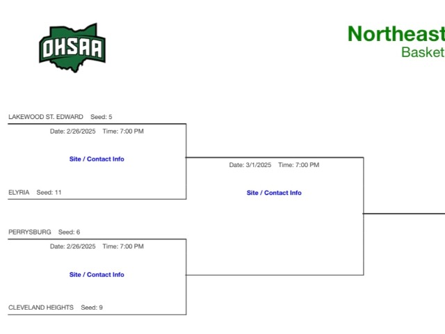 Boys Basketball Draws Perrysburg to Start Postseason