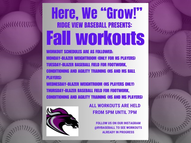 Baseball Fall Workouts Announced