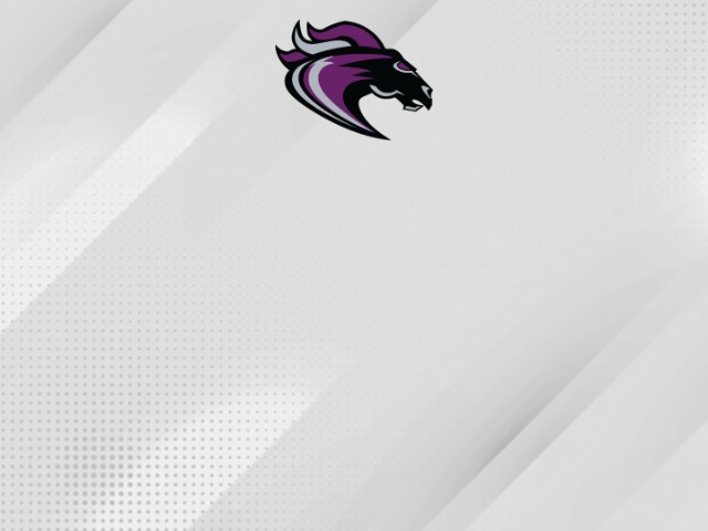 About Mascot Media