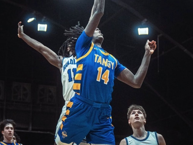 Girls Cross Country Meeting