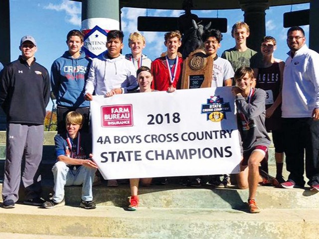 Cross country, county track titles top year in sports