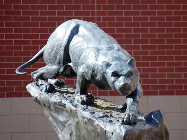 SSHS homecoming moving forward