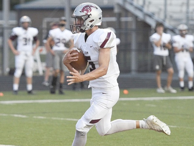 In high demand - Collins works all over field for Panthers