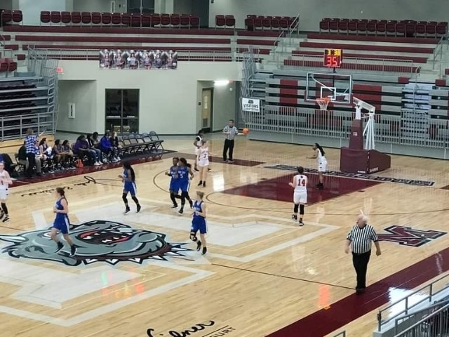 Ladydogs Defeat Searcy at Morrilton Christmas Classic