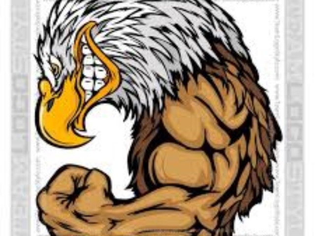 Screming Eagle Spring Football