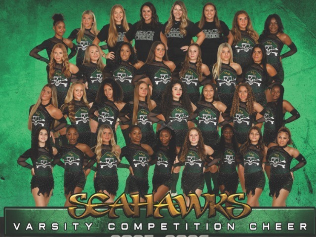 Varsity Cheer Places Top 8 In State