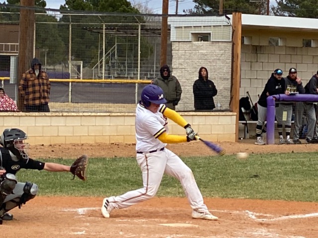 Lions 2nd Win on Day 2 of Tournament
