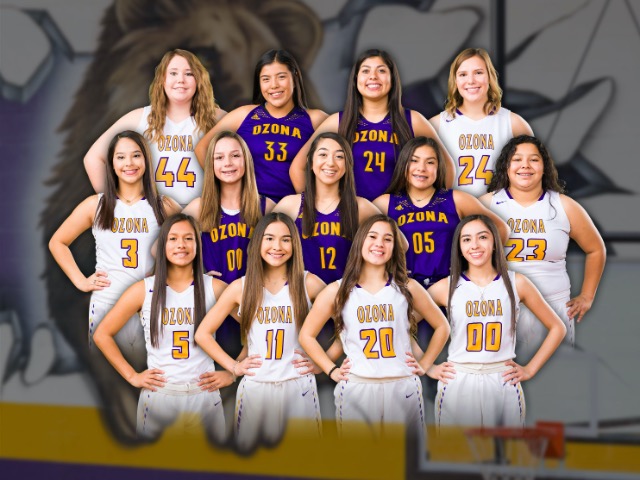 JV Lady Lion defeat the Badgers