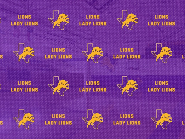 Lady Lions 47 - Saint Mary's Hall 53