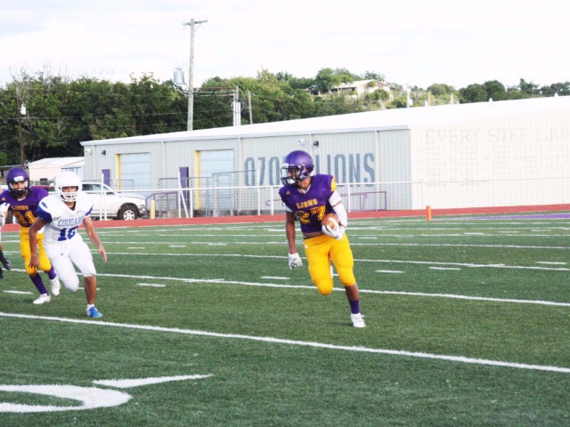 JV Lions shutout Owls