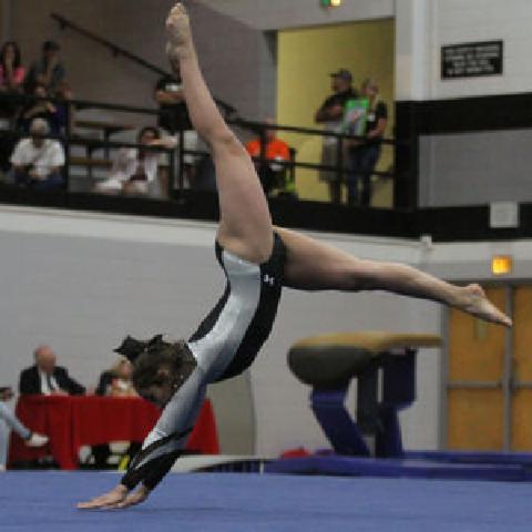 Girls Gymnastics finishes seventh at State