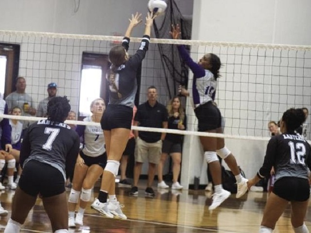 Lady Wildcats host home tournament