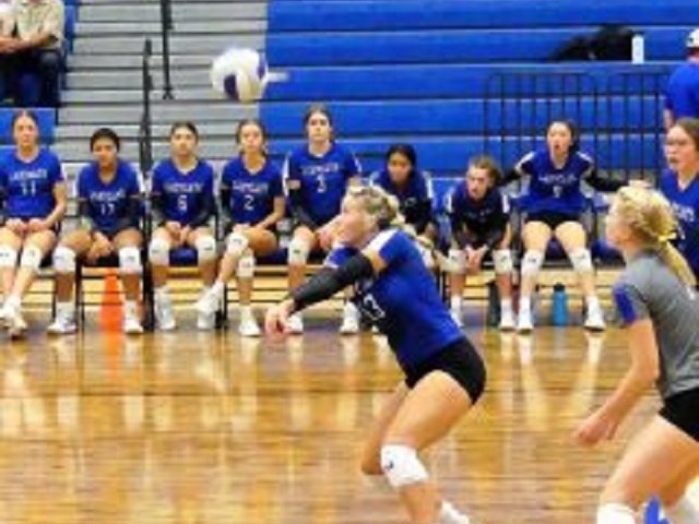 Lady Cat Volleyball Sweeps Pittsburg, Plays in Bi-District Round Tuesday